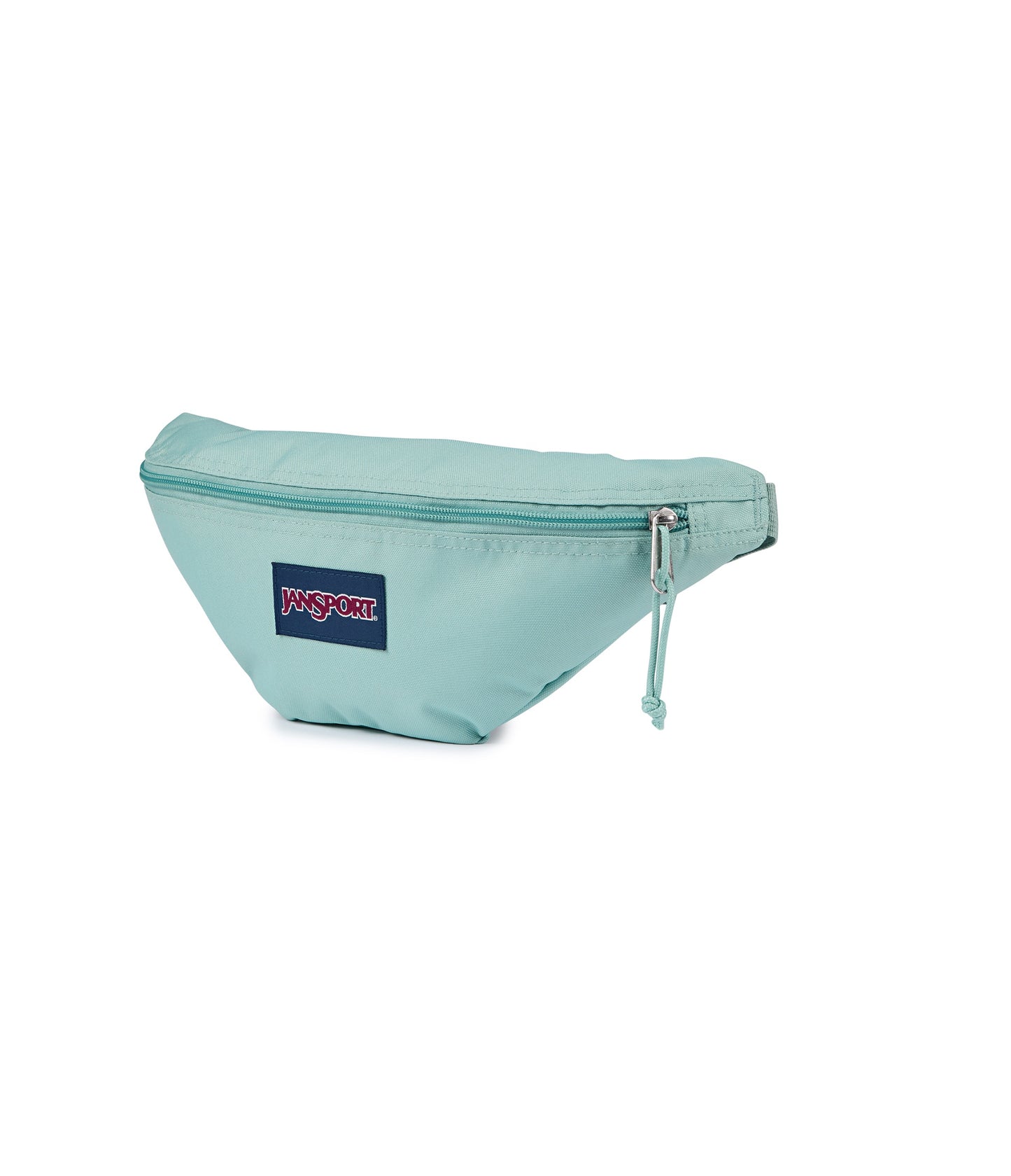 Swing Waistpack