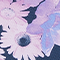 SWATCH FOCAL FLORAL NAVY