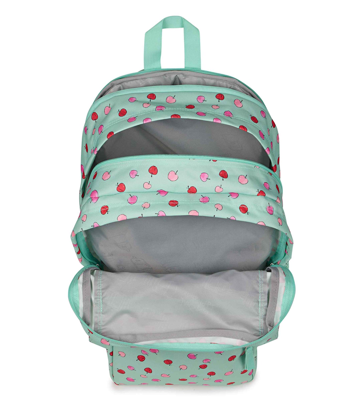 Big Student - Apple Orchard Magic Mint | JanSport