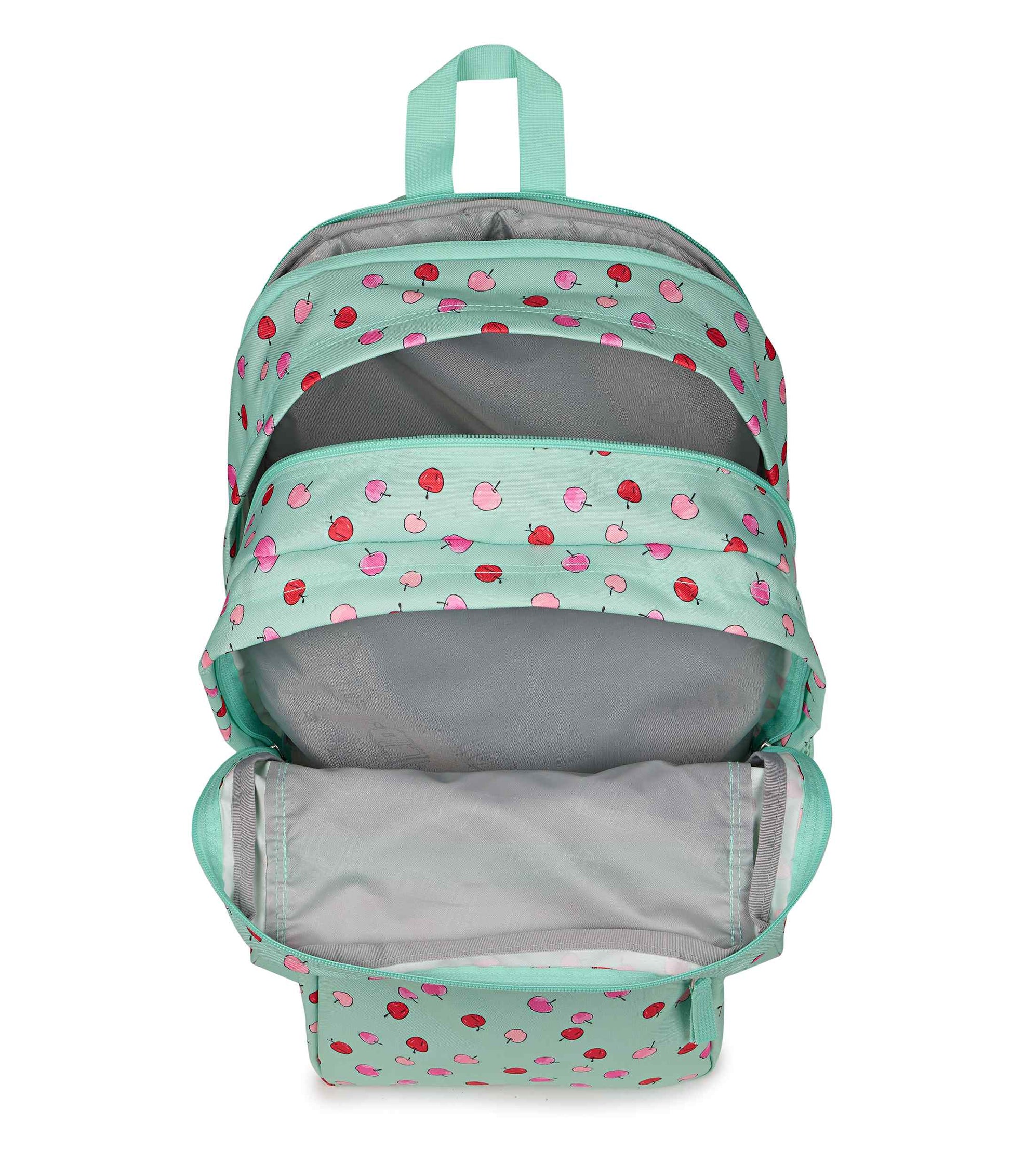 Big Student - Apple Orchard Magic Mint | JanSport